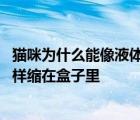 猫咪为什么能像液体一样缩在小盒子里 猫为什么能像液体一样缩在盒子里 