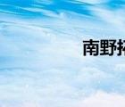 南野拓实年薪 南野拓实 