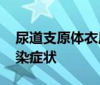 尿道支原体衣原体感染症状 支原体衣原体感染症状 