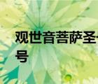 观世音菩萨圣号念诵版循环版 观世音菩萨圣号 