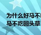 为什么好马不吃回头草脑筋急转弯 为什么好马不吃回头草 