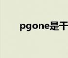 pgone是干什么的 pgone是什么人 