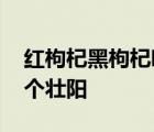 红枸杞黑枸杞哪个壮阳最好 红枸杞黑枸杞哪个壮阳 