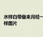 水样白带像来月经一样的流出来是什么原因 水样白带是什么样图片 