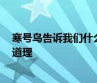 寒号鸟告诉我们什么道理 要抓紧时间 寒号鸟告诉我们什么道理 