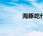 海豚吃什么水果 海豚吃什么 