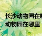 长沙动物园在哪里?门票多少?要预约吗? 长沙动物园在哪里 