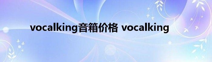 vocalking音箱价格 vocalking 