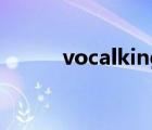 vocalking音箱价格 vocalking 