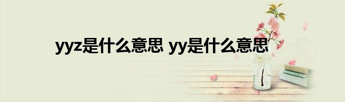 yyz是什么意思 yy是什么意思 