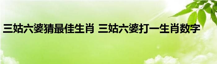 三姑六婆猜最佳生肖 三姑六婆打一生肖数字 