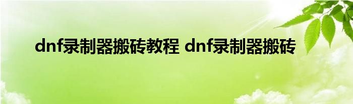 dnf录制器搬砖教程 dnf录制器搬砖 