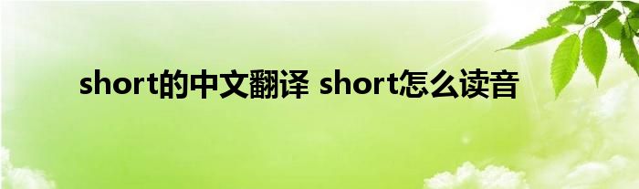 short的中文翻译 short怎么读音 