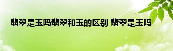 翡翠是玉吗翡翠和玉的区别 翡翠是玉吗 