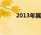 2013年属什么命 2013年属什么 