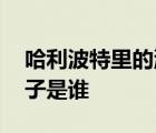 哈利波特里的混血王子是谁 哈利波特混血王子是谁 