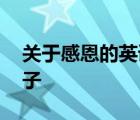 关于感恩的英语句子简短 关于感恩的英语句子 