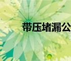 带压堵漏公司哪家好 带压堵漏公司 