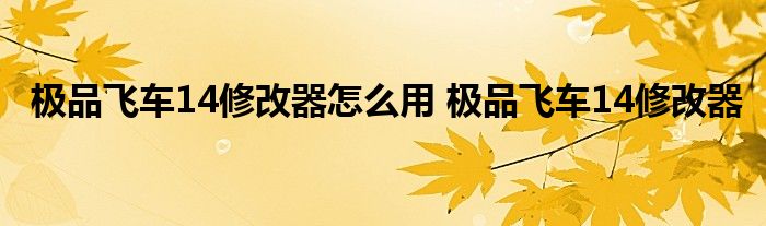 极品飞车14修改器怎么用 极品飞车14修改器 