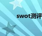 swot测评分析图 swot分析测试 