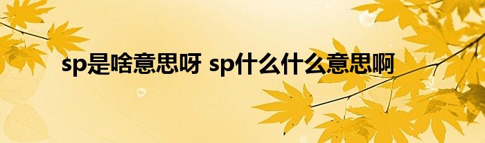 sp是啥意思呀 sp什么什么意思啊 