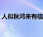 人似秋鸿来有信想表达什么 人似秋鸿来有信 