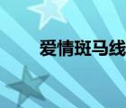 爱情斑马线演员 爱情斑马线杨晓梦 