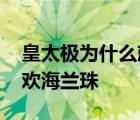 皇太极为什么就喜欢海兰珠 皇太极为什么喜欢海兰珠 