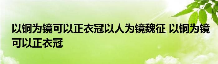 以铜为镜可以正衣冠以人为镜魏征 以铜为镜可以正衣冠 