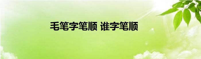 毛笔字笔顺 谁字笔顺 