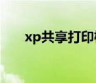 xp共享打印机给win7 xp共享打印机 