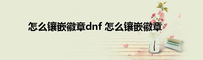 怎么镶嵌徽章dnf 怎么镶嵌徽章 