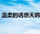 温柔的诱惑天鸽饰演者现状 温柔的诱惑天鸽 