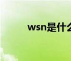 wsn是什么东西 wsn是什么意思 