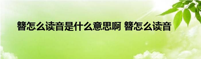 簪怎么读音是什么意思啊 簪怎么读音 