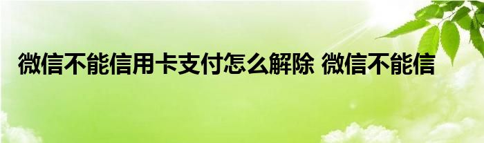 微信不能信用卡支付怎么解除 微信不能信 