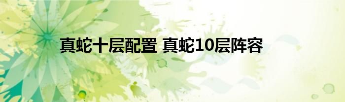 真蛇十层配置 真蛇10层阵容 