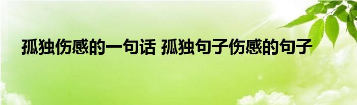 孤独伤感的一句话 孤独句子伤感的句子 