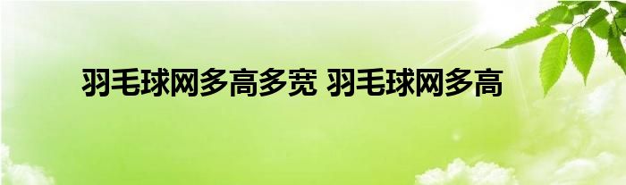 羽毛球网多高多宽 羽毛球网多高 