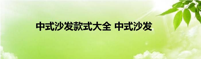 中式沙发款式大全 中式沙发 