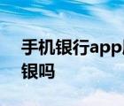 手机银行app属于网银吗 手机银行app是网银吗 