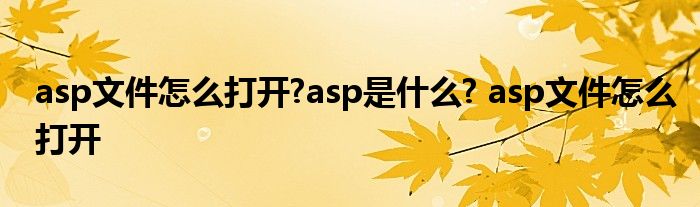 asp文件怎么打开?asp是什么? asp文件怎么打开 