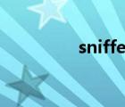 sniffer使用方法 sniffer 