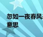 忽如一夜春风来的下一句 忽如一夜春风来的意思 