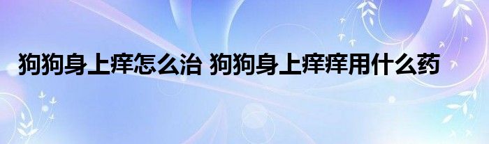 狗狗身上痒怎么治 狗狗身上痒痒用什么药 