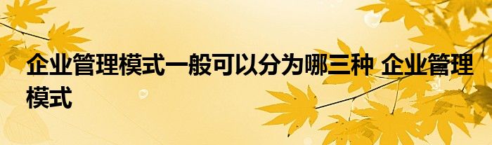 企业管理模式一般可以分为哪三种 企业管理模式 