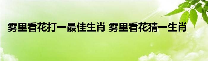 雾里看花打一最佳生肖 雾里看花猜一生肖 