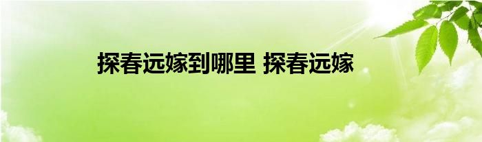 探春远嫁到哪里 探春远嫁 