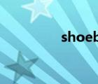 shoebox软件 shoebox 