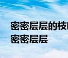 密密层层的枝叶挡住了我的视线改为被字句 密密层层 